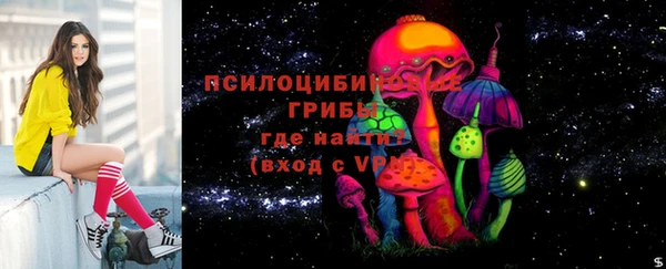 бутират Белокуриха