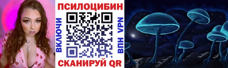 купить наркоту  Енисейск  Псилоцибиновые грибы GOLDEN TEACHER 